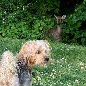 Meet your Posher, Tessy